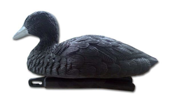 Imitatie meerkoet