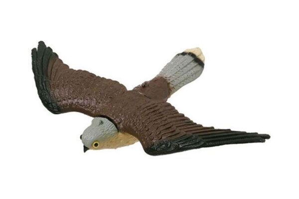 Faucon crécerelle | appelant